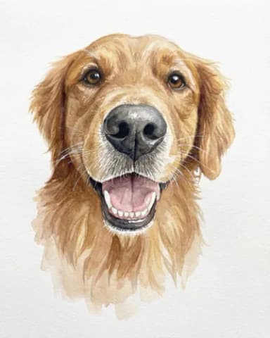Dog portrait 3