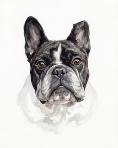 Dog portrait 4